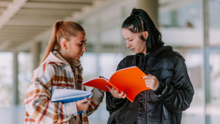 Scuole paritarie a Casalnuovo di Napoli