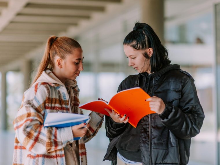 Scuole paritarie a Casalnuovo di Napoli